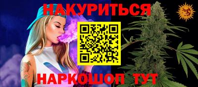 стаф Будённовск