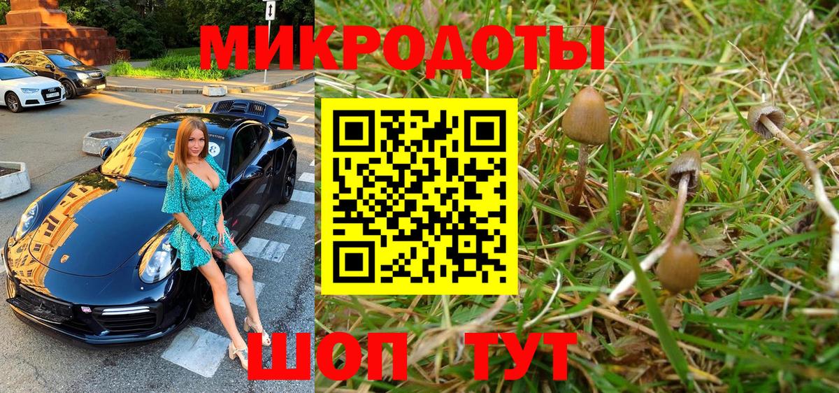 Псилоцибиновые грибы Magic Shrooms  Галлюциногенные грибы Cubensis  Вход с VPN  Семилуки 